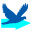 Dynamic Website Marketing Suite Windows 7