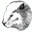 DBeaver Windows 7