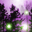 Dark Forest screensaver Windows 7