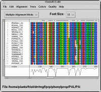 ClustalX screenshot