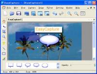 EasyCapture screenshot