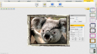 Photocoolex Flash Image Editor Script screenshot