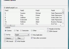 Advanced CSV Converter screenshot