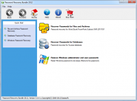Password Recovery Bundle 2012 Personal screenshot