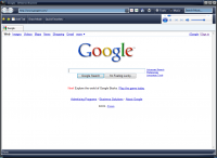 GINternet Explorer screenshot