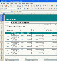 Calc ooReport for .Net screenshot