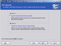 Aomei Dynamic Disk Converter Professional Edition screenshot