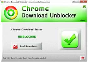 Download Unblocker for Google Chrome screenshot