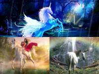 Magic Unicorns Animated Wallpaper screenshot