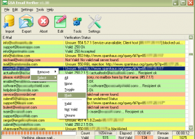 GSA Email Verifier screenshot