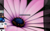 Emerge Desktop 64bit screenshot