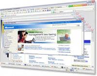 Orca Browser screenshot