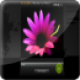 XML Photo Gallery with Rating