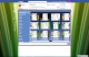 Facefetti for Internet Explorer Facefetti for Internet Explorer