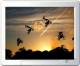 Motocross Action Screen Saver