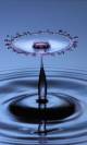 Free Water Droplets Screensaver