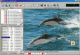 Amor Photo Downloader Amor Photo Downloader