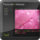 XML Portfolio Gallery Website Template XML Portfolio Gallery Website Template
