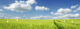 Dream-Rain Animated Desktop Wallpaper