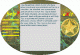 Divination with I-Ching