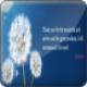 Fading Text Rotator AS3/XML/CSS Fading Text Rotator AS3/XML/CSS