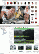 Web Photo Search Web Photo Search