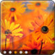 Simple Banner Rotator - Blur Transition Simple Banner Rotator - Blur Transition