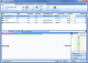 PerfectDisk Professional PerfectDisk Professional