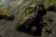TemporalWars Game Engine - Free TemporalWars Game Engine - Free
