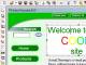 Splendid Web Site Constructing Combo