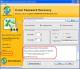 Excel Password Recovery