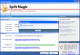 Split PST Software