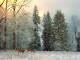 Snowland Screensaver