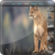 Vertical Scroll XML Gallery
