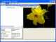 Image Renaming Image Renaming