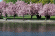 Spring Fever