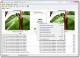 Duplicate Photo Finder Duplicate Photo Finder