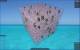 Real Sudoku3D Win64