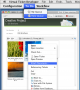 Virtual Ticket Developer Professional Virtual Ticket Developer Professional