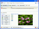 CoffeeCup PixConverter CoffeeCup PixConverter