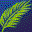 Cinepan Panorama Player Windows 7