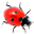 Ladybug on Desktop Screensaver Windows 7