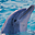Smart Dolphins Free Screensaver Windows 7
