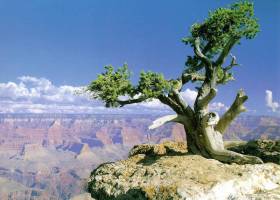 American Canyons Free Screensaver screenshot