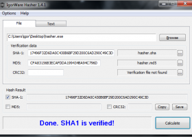 IgorWare Hasher screenshot