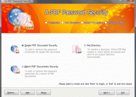 A-PDF Password Security screenshot