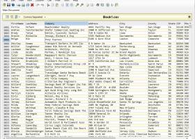 Ron's Editor screenshot