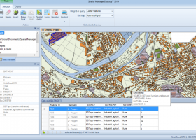 Spatial Manager Desktop screenshot