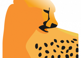 RideViewer screenshot