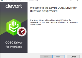 InterBase ODBC Driver by Devart screenshot
